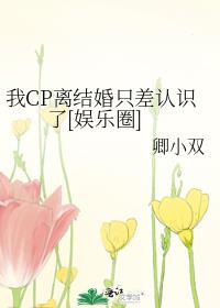 我CP离结婚只差认识了[娱乐圈]