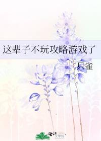 这辈子不玩攻略游戏了