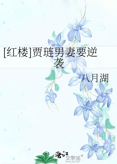 [红楼]贾琏男妻要逆袭