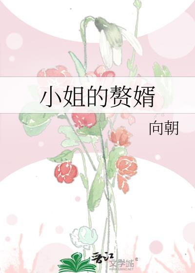 小姐的赘婿